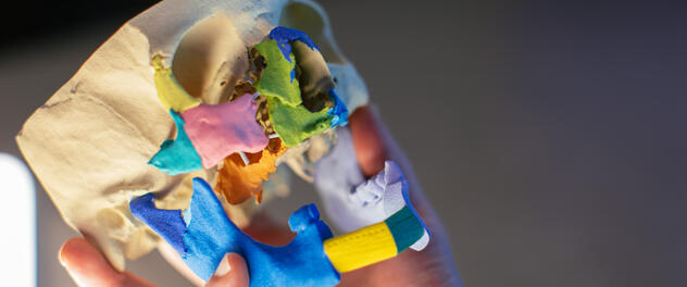 Facial Plastic and Reconstructive Surgery - Department of ...