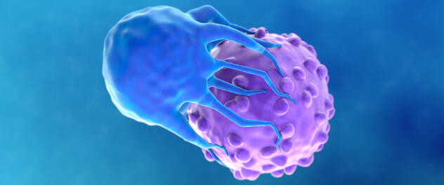 An illustration showing an antitumor immune cell interacting with a cancer cell