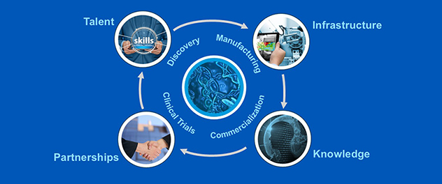 RNA strands circle in the middle, surrounded by the words 'discovery,' 'manufacturing,' 'commercialization' and 'clinical trials.' Outer circles represent talent, partnerships, knowledge and infrastructure.