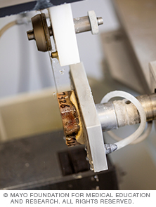 Mayo Clinic Biomaterials and Histomorphometry Core Exakt cutting and grinding system